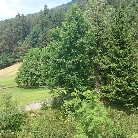 Waldblick Tonbach Lägenhet Baiersbronn Rum bild