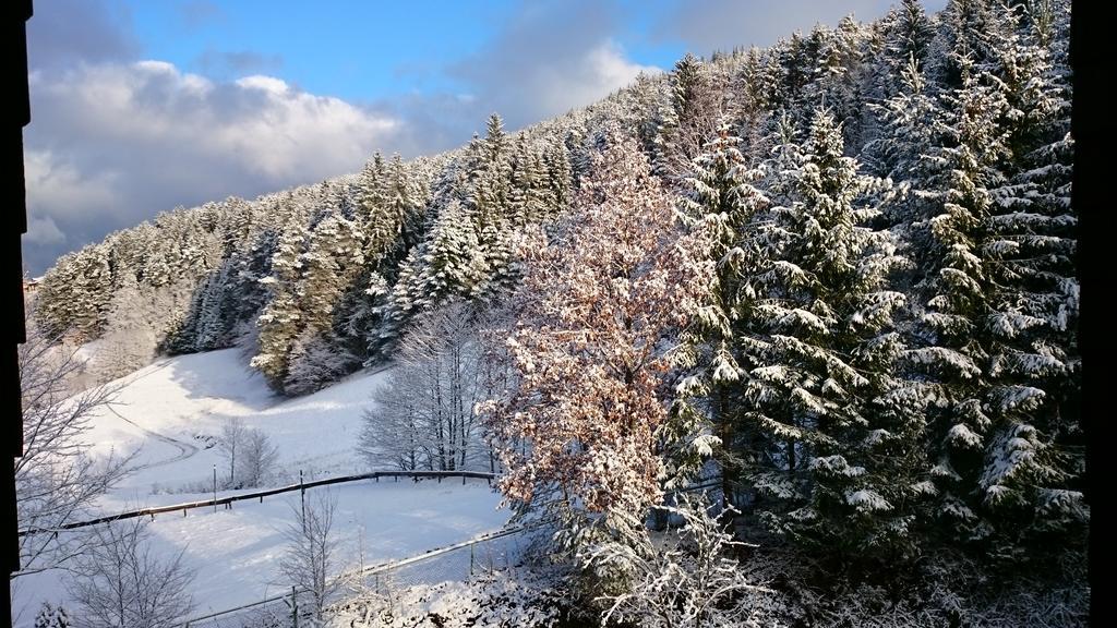 Waldblick Tonbach Lägenhet Baiersbronn Rum bild