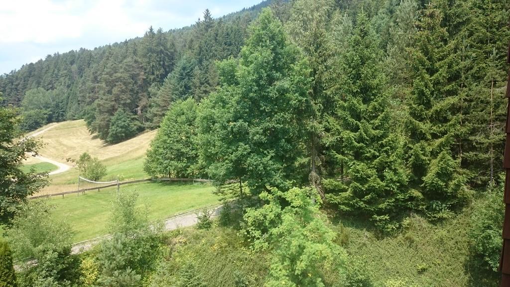 Waldblick Tonbach Lägenhet Baiersbronn Rum bild