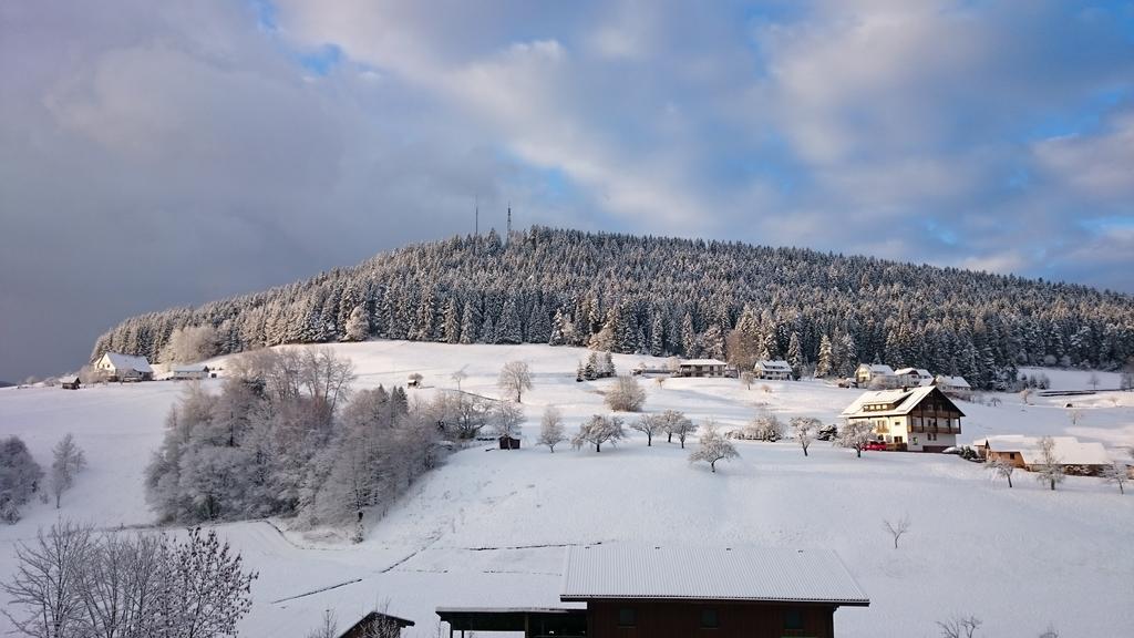 Waldblick Tonbach Lägenhet Baiersbronn Exteriör bild