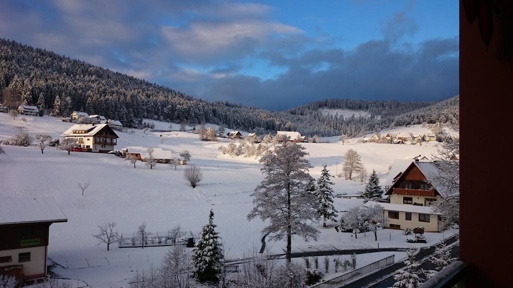 Waldblick Tonbach Lägenhet Baiersbronn Rum bild