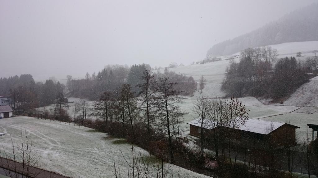 Waldblick Tonbach Lägenhet Baiersbronn Rum bild