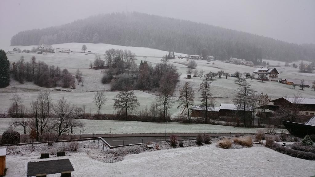 Waldblick Tonbach Lägenhet Baiersbronn Rum bild