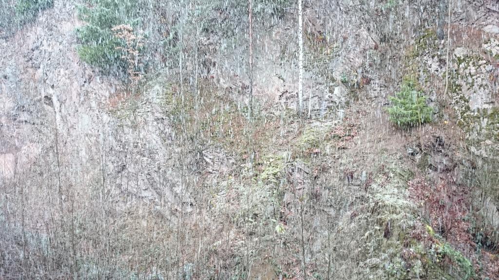 Waldblick Tonbach Lägenhet Baiersbronn Rum bild