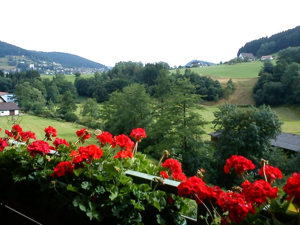 Waldblick Tonbach Lägenhet Baiersbronn Rum bild
